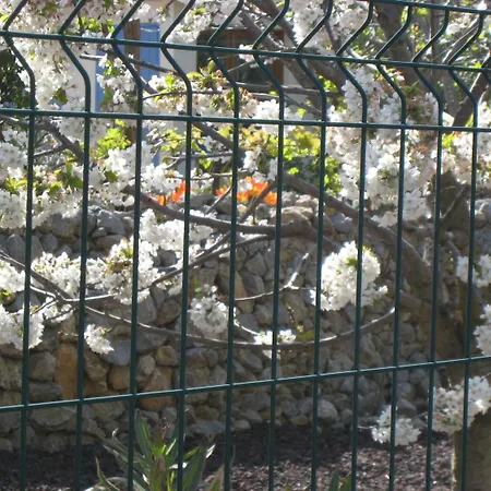 Les S Sens Du Sud Saint-Laurent-de-la-Cabrerisse